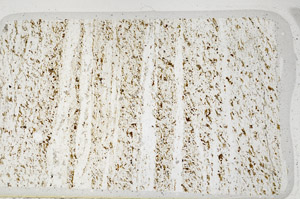 Plane Polarized, N3169