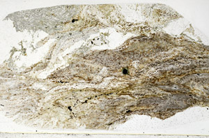 Plane Polarized, N3174