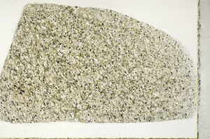 Plane Polarized, N3181