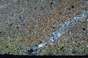 Cross Polarized, N3183