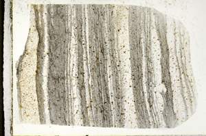 Plane Polarized, N3187