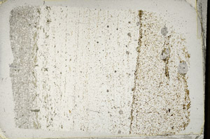 Plane Polarized, N3193