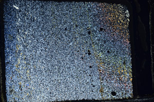 Cross Polarized, N3193/B