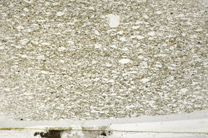 Plane Polarized, N3195