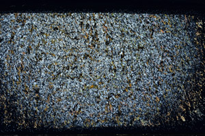 Cross Polarized, N3198