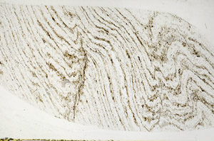 Plane Polarized, N3215/B