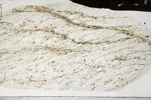 Plane Polarized, N3216