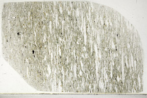 Plane Polarized, N3222