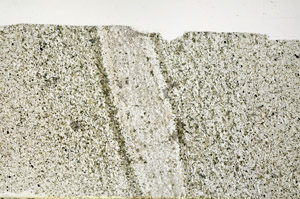 Plane Polarized, N3230