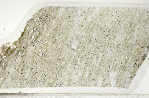 Plane Polarized, N3233/B