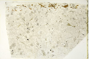 Plane Polarized, N3323