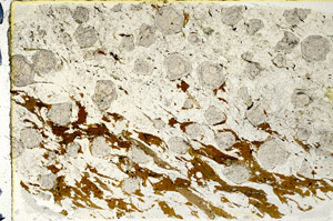 Plane Polarized, N3333