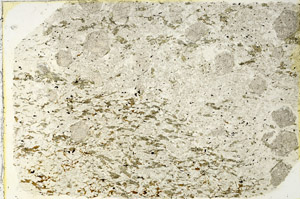 Plane Polarized, N3334