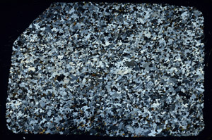 Cross Polarized, N3341