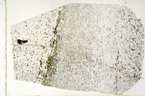 Plane Polarized, N3342