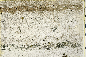 Plane Polarized, N3346