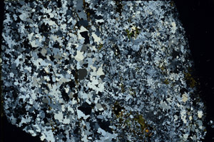 Cross Polarized, N3347