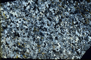 Cross Polarized, N3351