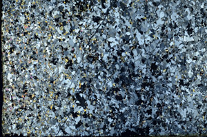 Cross Polarized, N3352