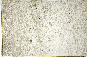 Plane Polarized, N3352