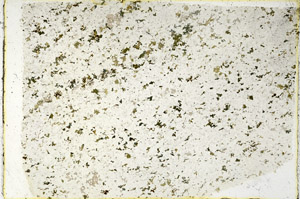 Plane Polarized, N3356