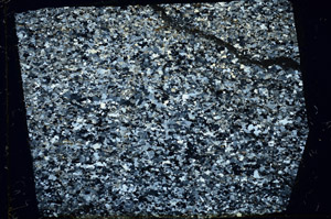 Cross Polarized, N3382