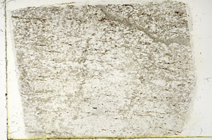 Plane Polarized, N3382