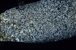 Cross Polarized, N3383