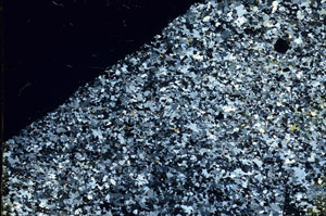 Cross Polarized, N3388