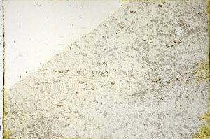 Plane Polarized, N3388