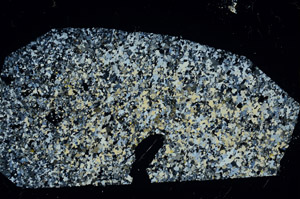 Cross Polarized, N3390