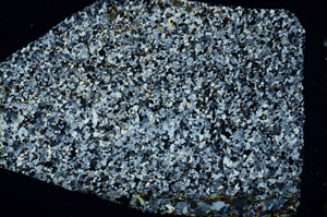 Cross Polarized, N3391