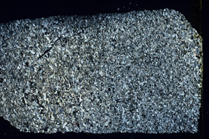 Cross Polarized, N3393