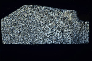 Cross Polarized, N3395