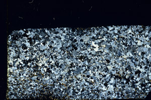 Cross Polarized, N3403
