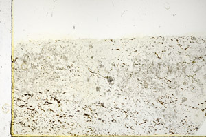 Plane Polarized, N3403