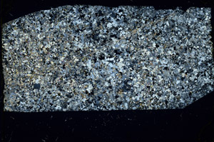 Cross Polarized, N3406