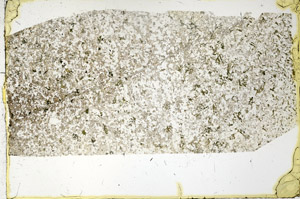 Plane Polarized, N3406