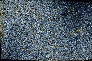 Cross Polarized, N3408