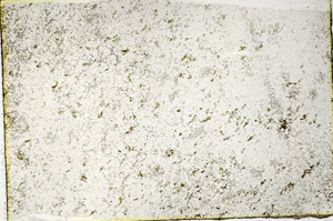 Plane Polarized, N3408