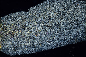 Cross Polarized, N3409