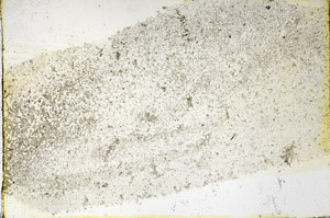 Plane Polarized, N3409