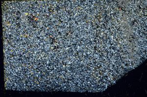 Cross Polarized, N3410