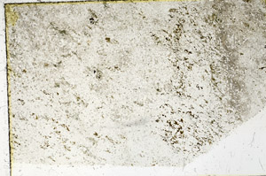 Plane Polarized, N3410