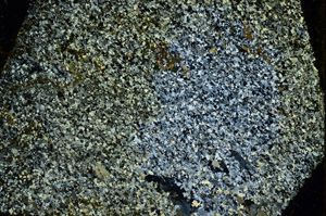 Cross Polarized, N3411