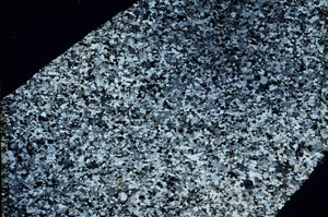 Cross Polarized, N3412