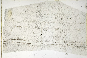 Plane Polarized, N3415