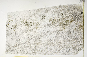 Plane Polarized, N3417