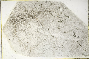 Plane Polarized, N3418