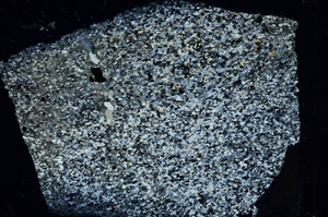 Cross Polarized, N3419